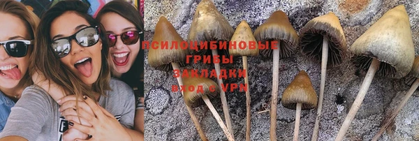 молекула духа Алексин