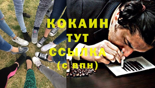 не бодяженный Алзамай