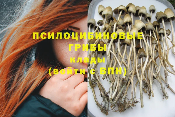 молекула духа Алексин
