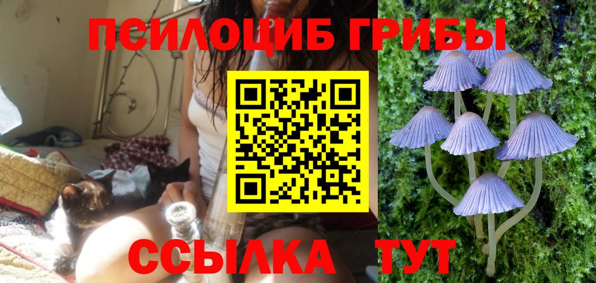 Удомля  Галлюциногенные грибы Cubensis  Галлюциногенные грибы Cubensis  Вход с VPN 
