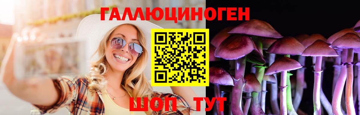 Галлюциногенные грибы Magic Shrooms Удомля